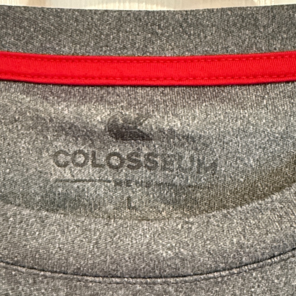 Colosseum Maryland Terrapins Charcoal Tee size Large Men’s - Picture 2 of 4